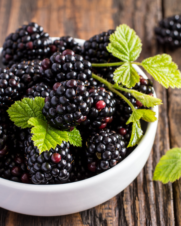 Pretty Young Thing (PYT) | Pomegranate & Blackberry | Antioxidants + Glow